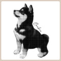 Personalized Pet Sweatshirts