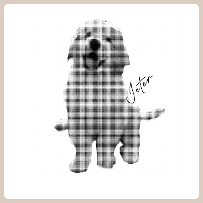 Custom Pet T-Shirt