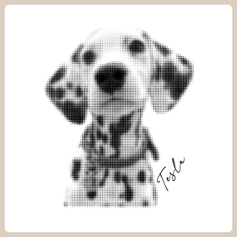 Personalized Pet Sweatshirts