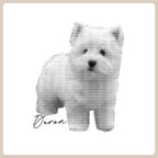 Personalized Pet Sweatshirts