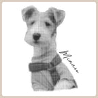 Personalized Pet Sweatshirts