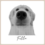 Personalized Pet Sweatshirts