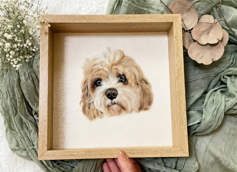 Final Touches & Quality Assurance