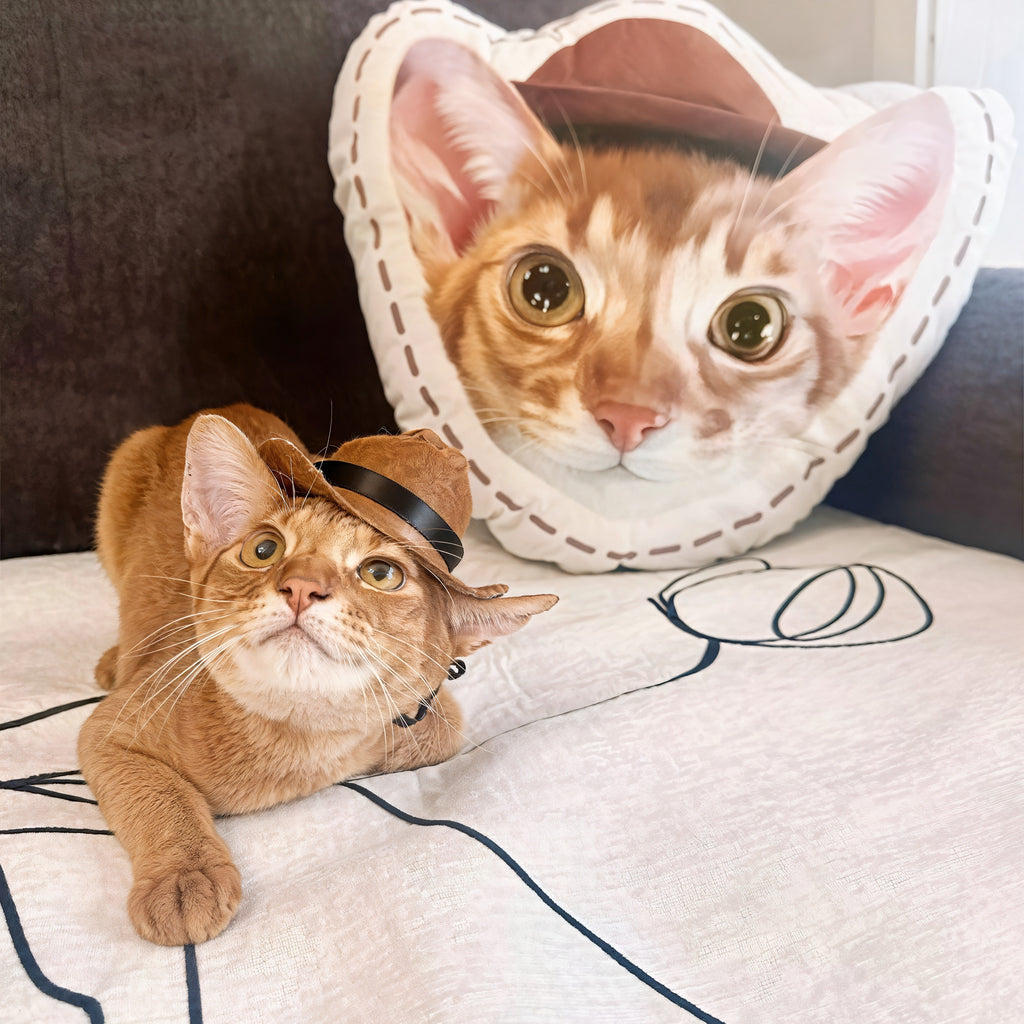 Custom cat pillow with cute hat, personalized cat face pillow for home decor