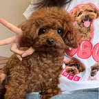 Custom dog t-shirt with cute poodle print, personalized pet lover gift