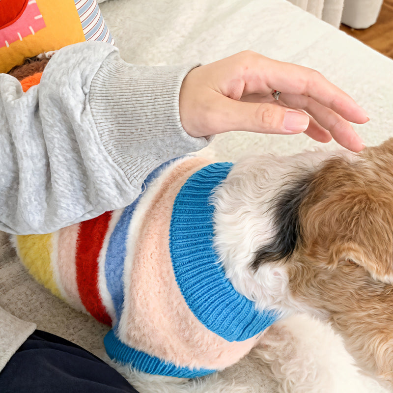 Close-up of custom pet sweatshirt showing ribbed cuff detail and soft fabric, perfect for personalized dog apparel