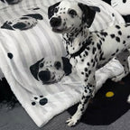 Custom Dalmatian dog blanket with personalized pet photo