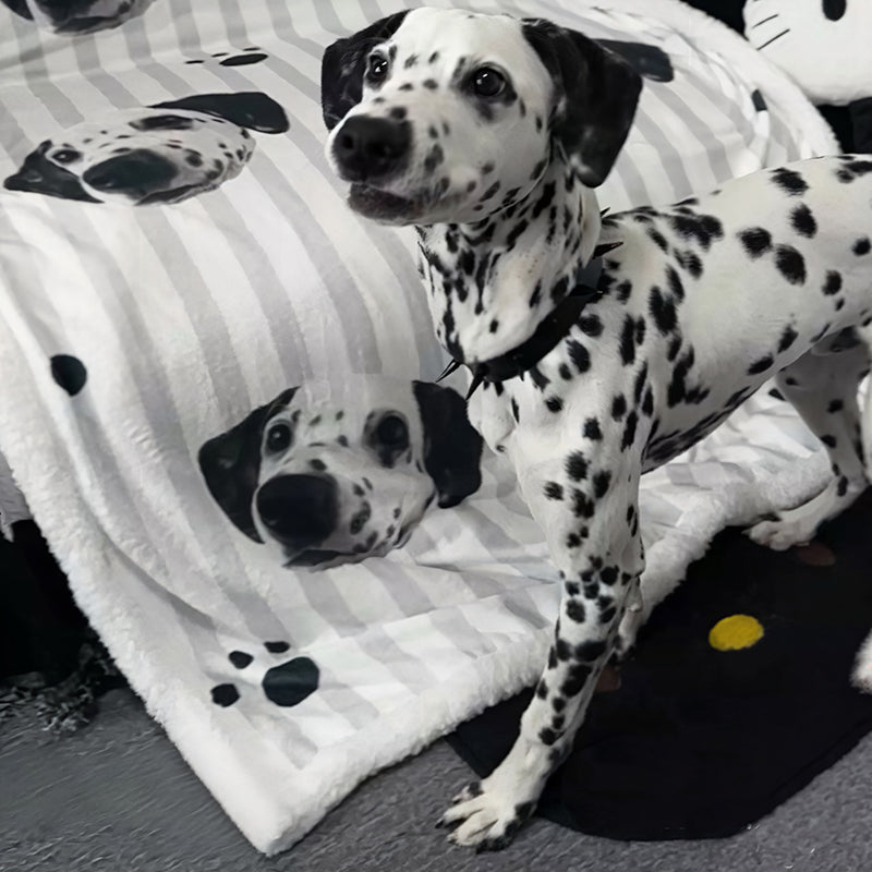 Custom Dalmatian dog blanket with personalized pet photo