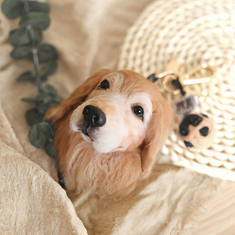 Golden Retriever felt keychain, handmade realistic dog charms, custom pet lover gift