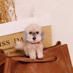 Handmade felt dog keychain, personalized gift for dog owners, realistic wool pet doll