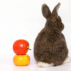 Custom Needle Felted Rabbit