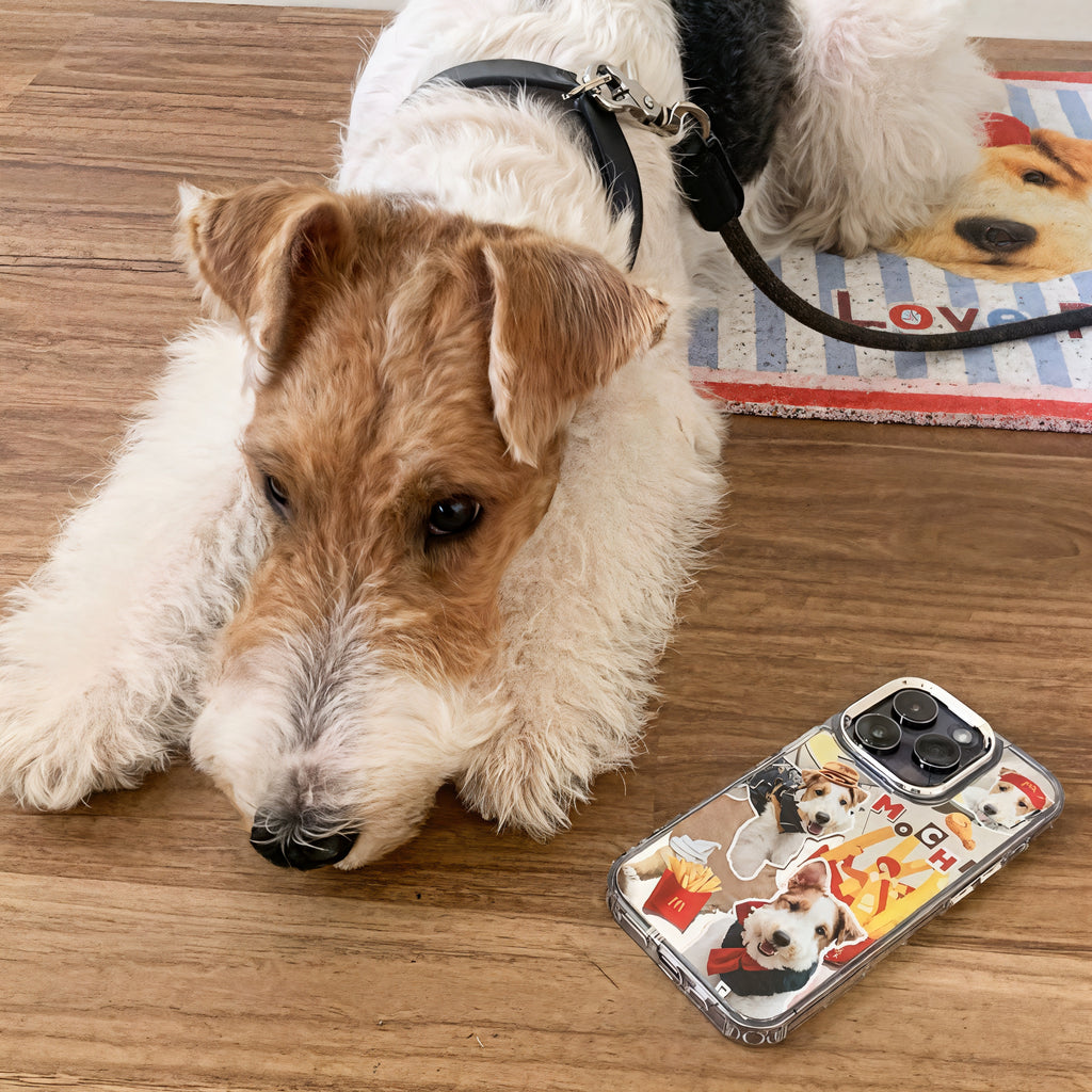 personalized dog iphone case magsafe shown with real pet lifestyle scene