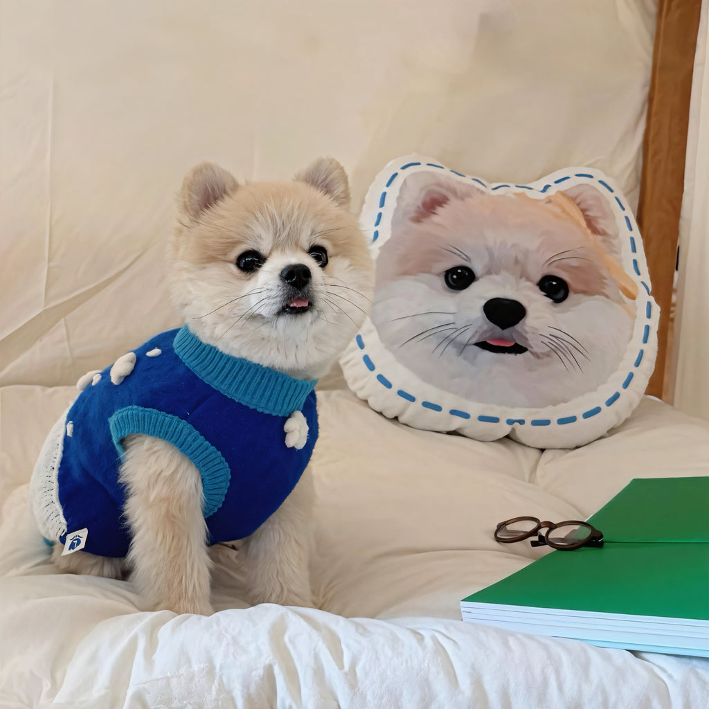 Personalized dog pillow wearing blue sweater, custom dog face cushion for dog lovers